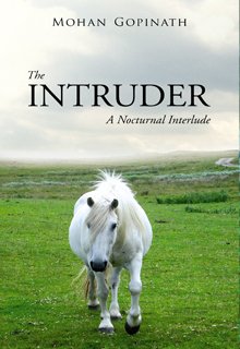 The Intruder: A Nocturnal Interlude