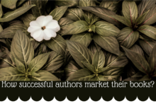 How Successful Authors Market Their books